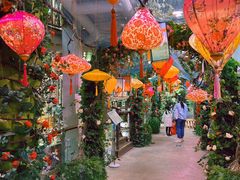 -正佳雨林生态植物园