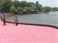 -上海鲜花港
