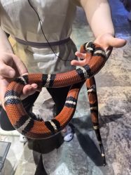 -酷嗒动物文化乐园(cutezoo西溪乐天城店)