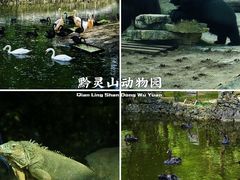 -黔灵山公园