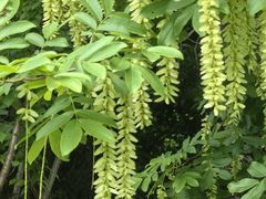 -西山漾湿地公园