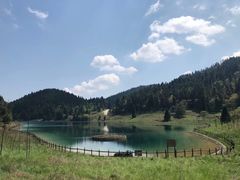 -武陵山森林公园