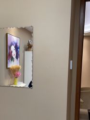 -厦门美莱整形美容医院