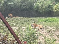 -沈阳森林动物园