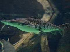 android_upload_pic-常州海昌海洋探索馆