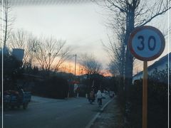 -北京东方普罗旺斯薰衣草庄园