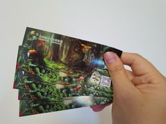 -正佳雨林生态植物园