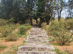 -广州市石门国家森林公园