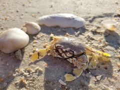 -惠州金海湾嘉华度假酒店