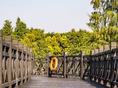 -海珠湖公园