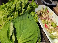 -炭虎烤肉(桂林路店)