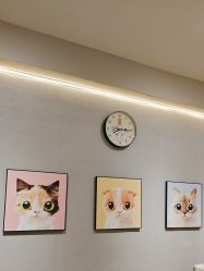 -洗脸猫·洗脸吧