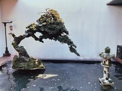-觀芷隐轩