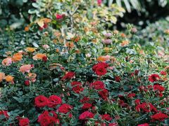 -大妙火锅·非物质文化遗产(东湖公园店)