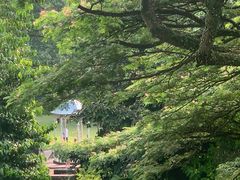 -新加坡总统府