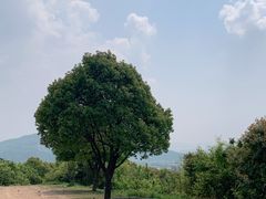 -银吉姆健身(景城邻里中心馆)