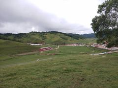 -关山草原