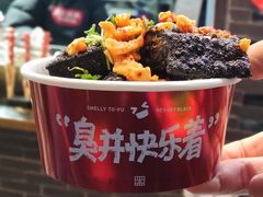 -黑色经典臭豆腐·湖南特产(坡子街特产局店)