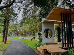 -南宁良凤江国家森林公园