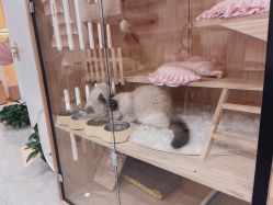 -花系美·美甲美睫精品店