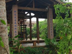 -东寨港红树林旅游区