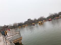-大槐树寻根祭祖园