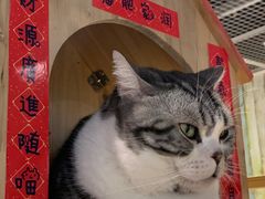 -小时光咖啡馆(开森度假森林店)