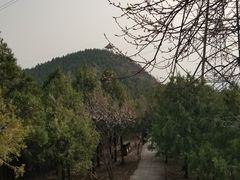 -北京十三陵国家森林公园蟒山景区