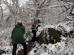 -紫金山天文台