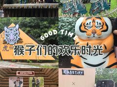 -红山森林动物园