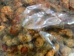 -王阿姨文昌油赞子(府桥街店)