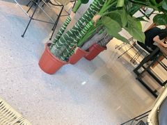 -窦四牛杂面(总店)