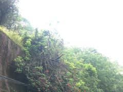 -重庆平顶山公园
