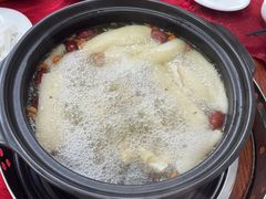 -花苑美食横琴生蚝火锅(拱北粤华路店)
