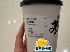茉莉奶白-茉莉奶白