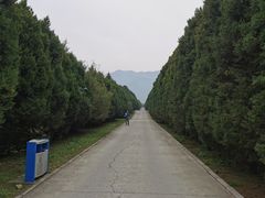 -秦始皇帝陵博物院-丽山园