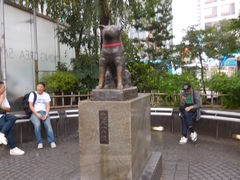 -涩谷区
