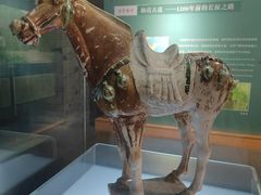 -衢州市博物馆