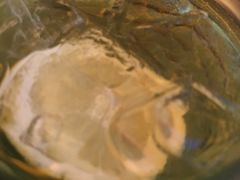 -鸿泰洋美食水会(东门中店)