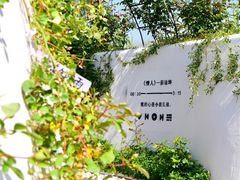 -尚湖风景区