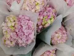 -三圣花乡旅游区