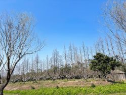 -前小桔亲子创意农场·草莓采摘·露营烧烤