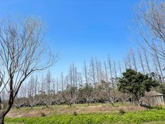 -前小桔亲子创意农场·草莓采摘·露营烧烤