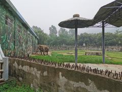 -西安秦岭野生动物园