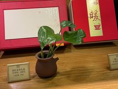 -青藤茶馆(南山路店)