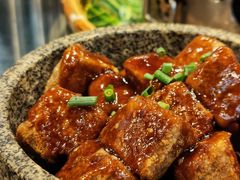 -甘家界牌柠檬鸭(青山店)