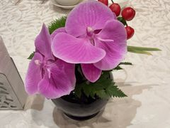 -香乐园·淮扬菜中餐厅·Shang Garden(福田香格里拉店)
