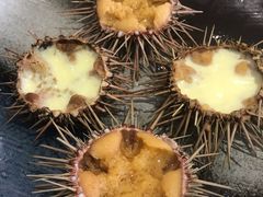 -海胆小馆(东北水饺·春柳店)