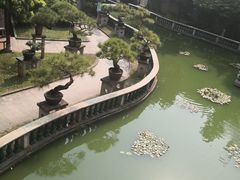 -碧江金楼