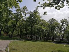 -大雁塔北广场音乐喷泉
